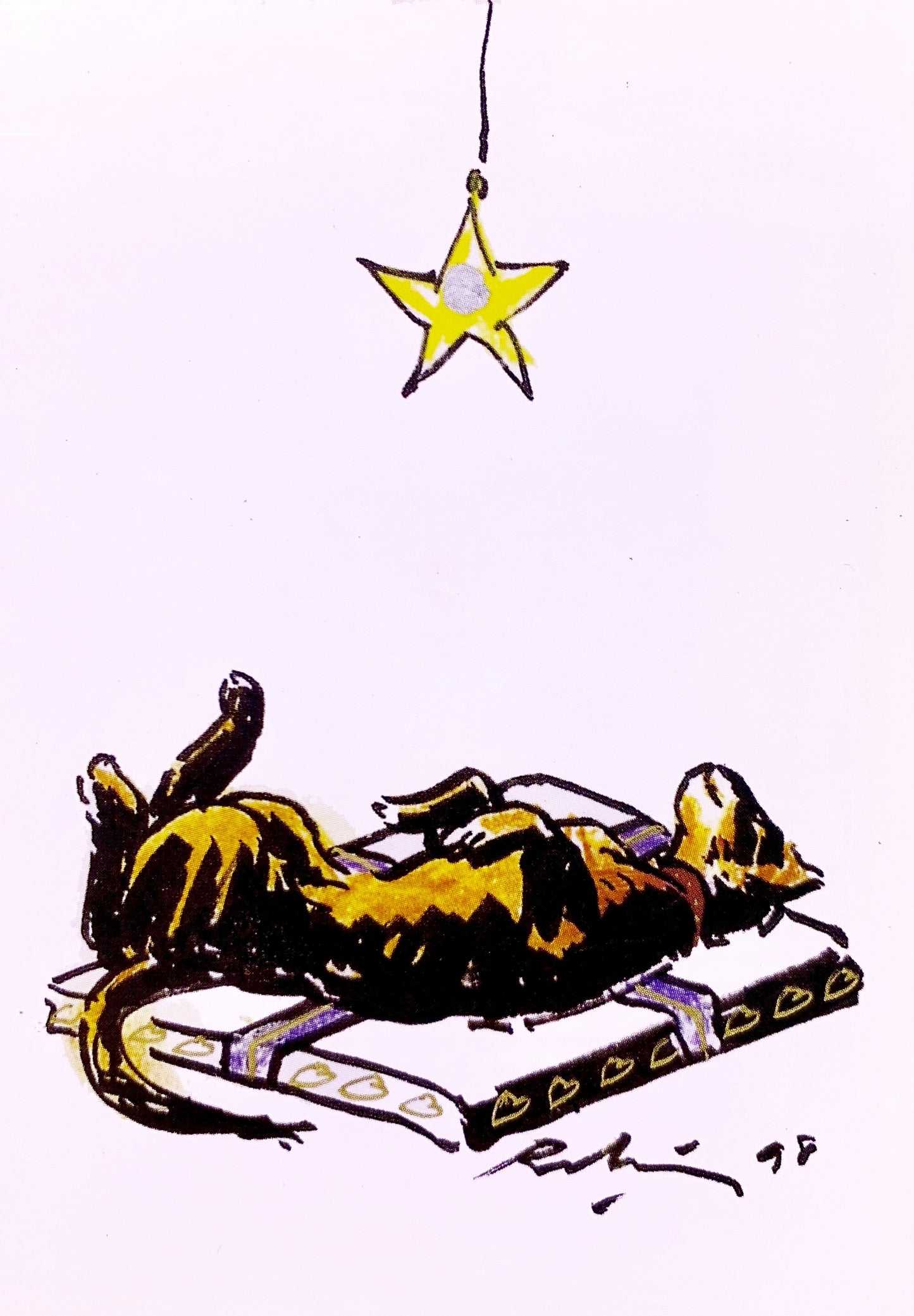 Cat Under a Star